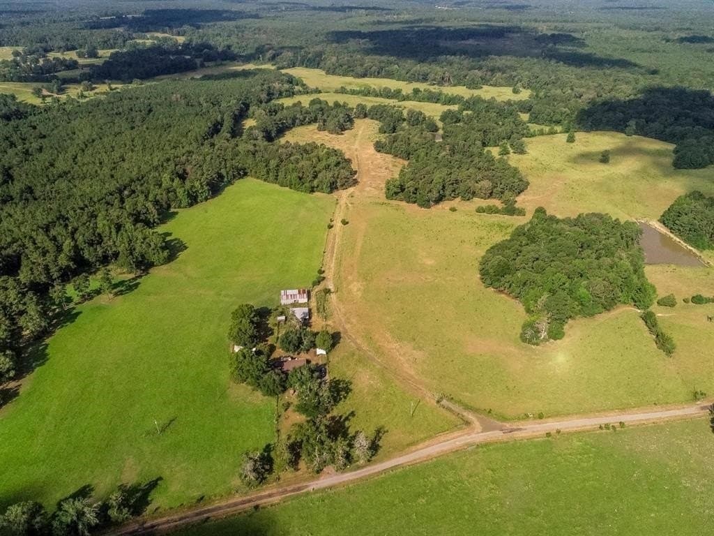 227 acres in Panola County - photo 28