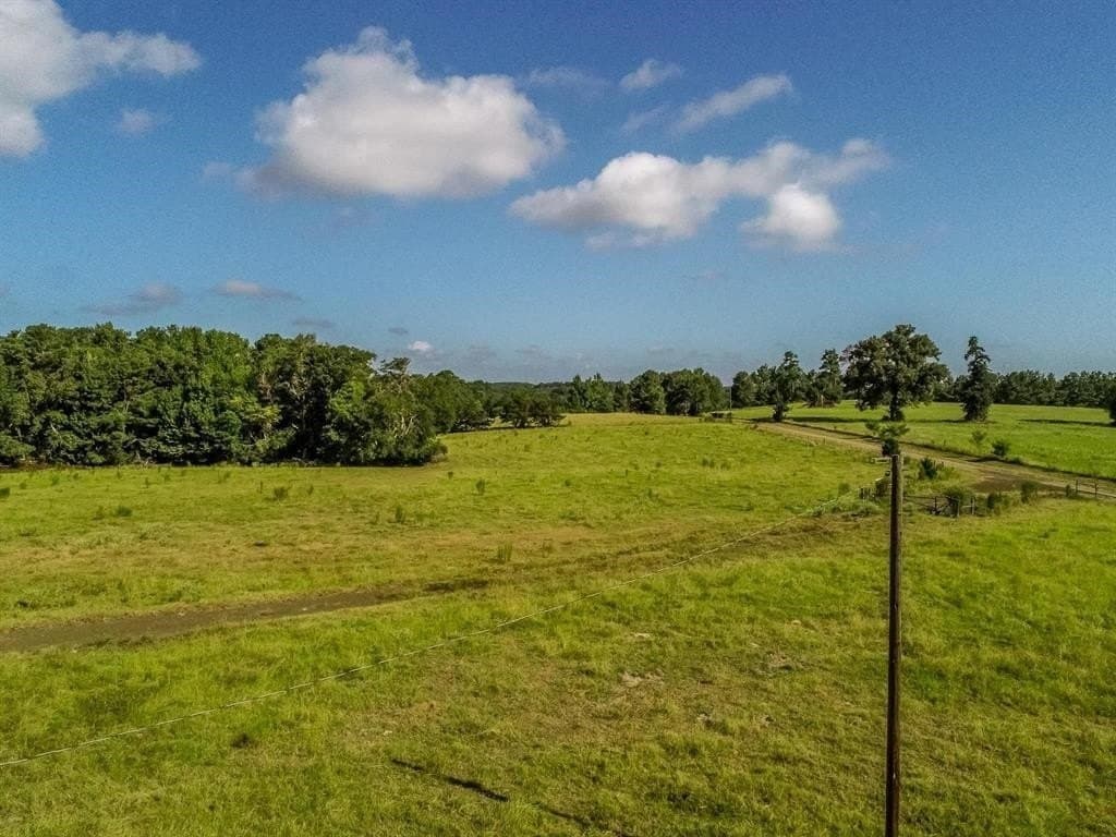227 acres in Panola County - photo 22