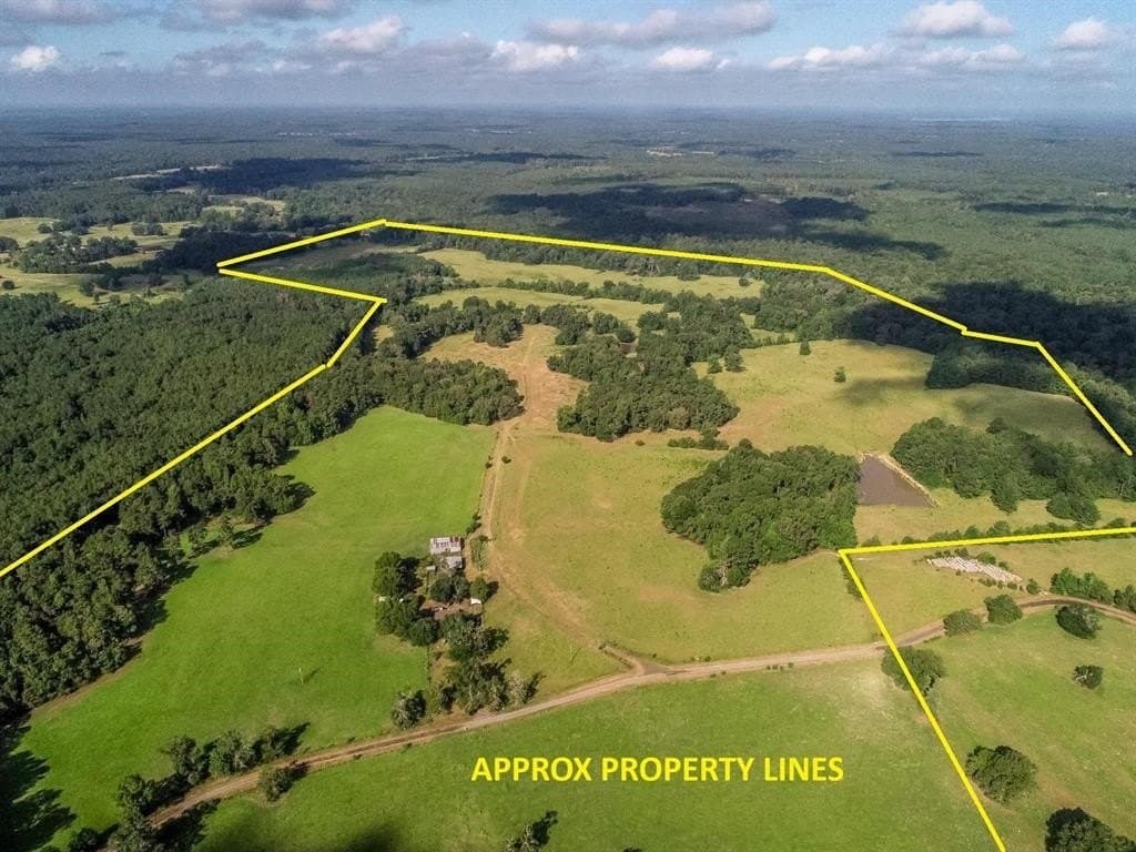 227 acres in Panola County - photo 27