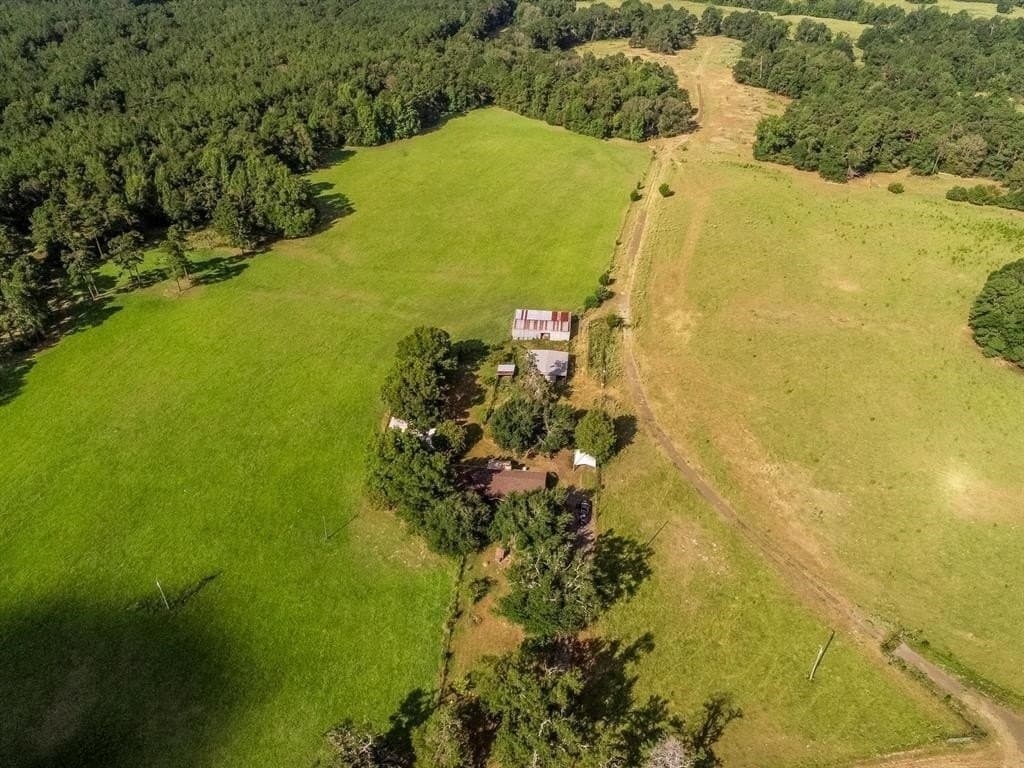 227 acres in Panola County - photo 29