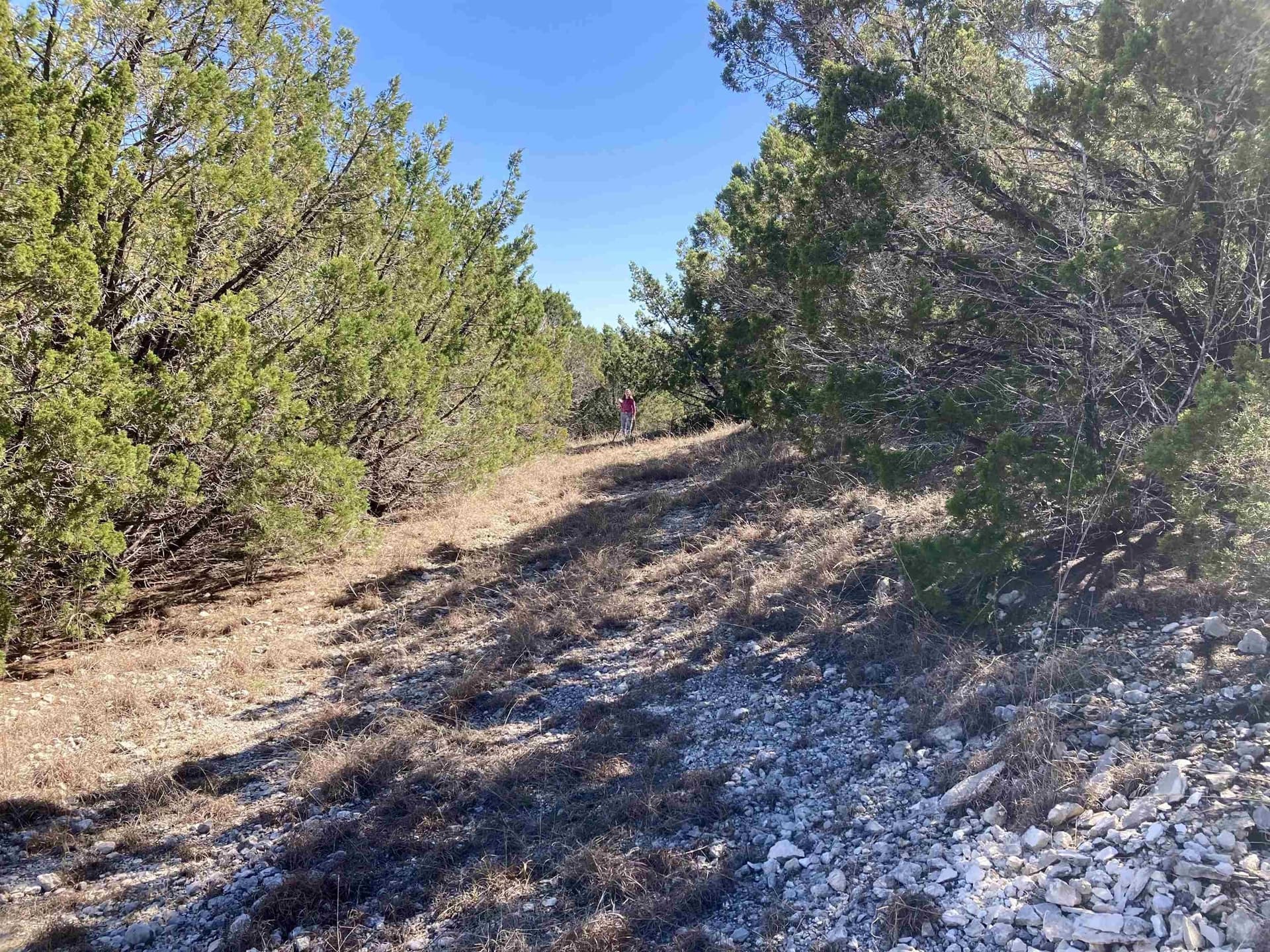 3.65 acres in Burnet County - photo 4