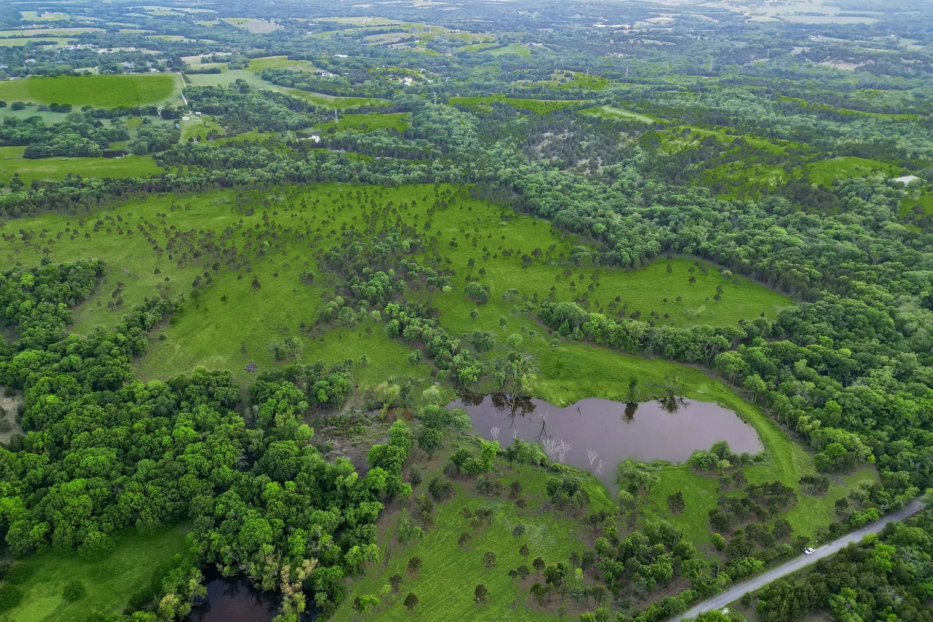 109.78 acres in Grayson County - photo 14