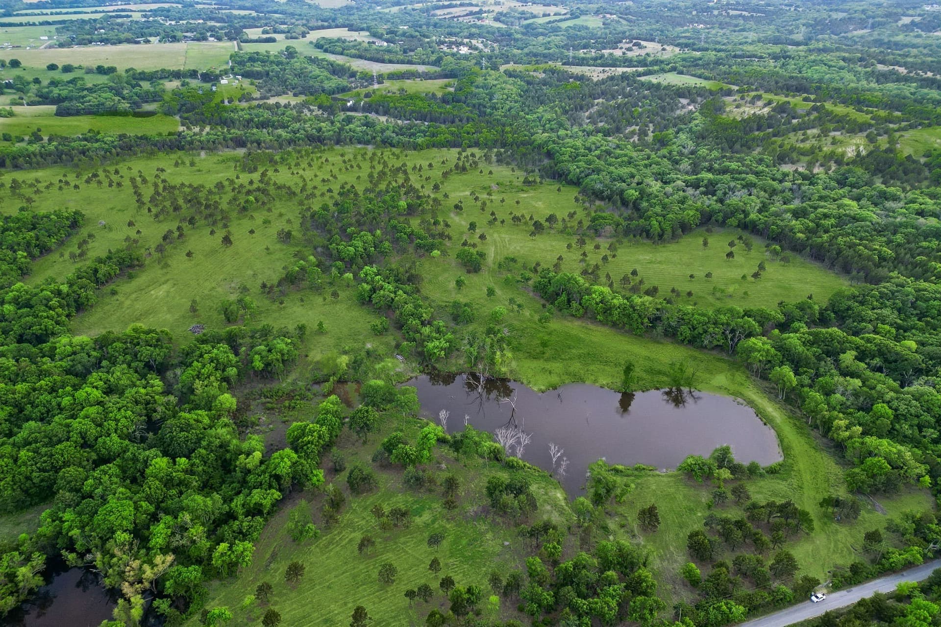 109.78 acres in Grayson County - photo 15