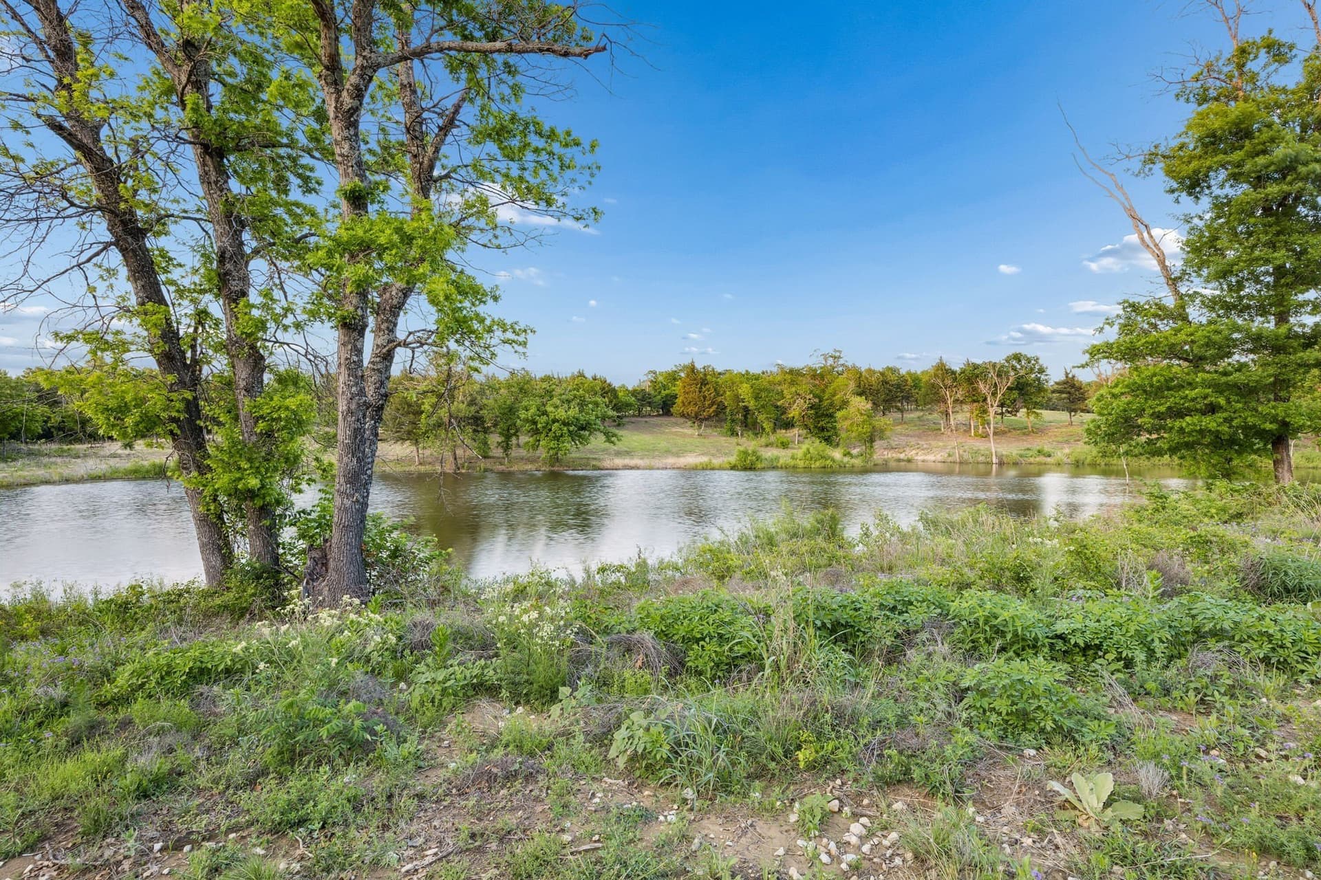109.78 acres in Grayson County - photo 18