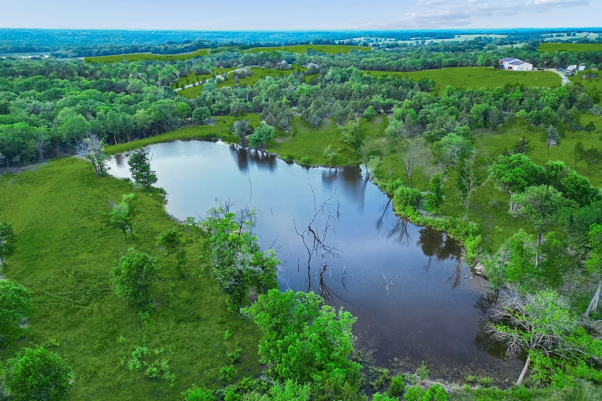 109.78 acres in Grayson County - photo 11