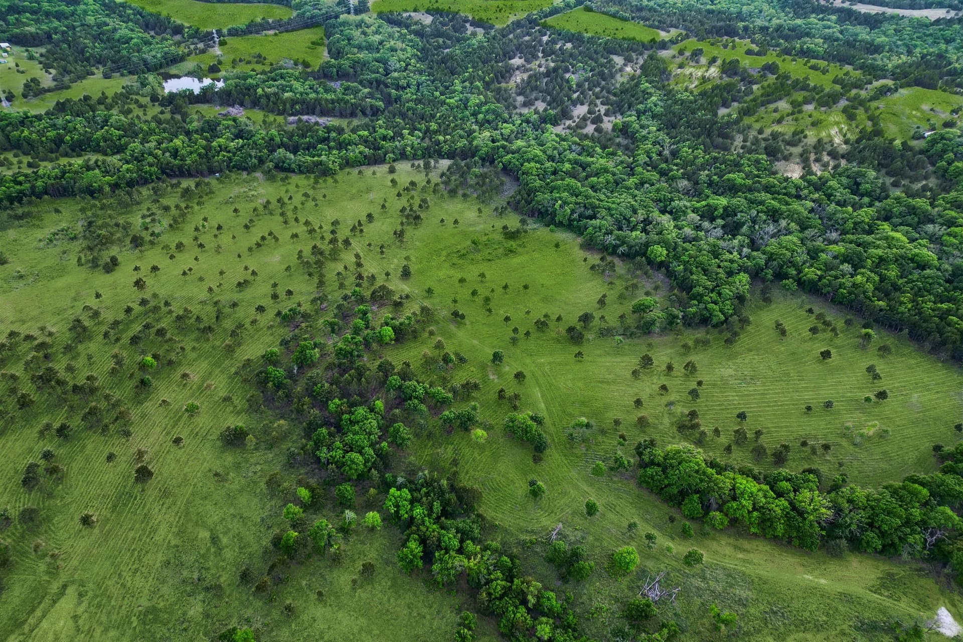 109.78 acres in Grayson County - photo 12