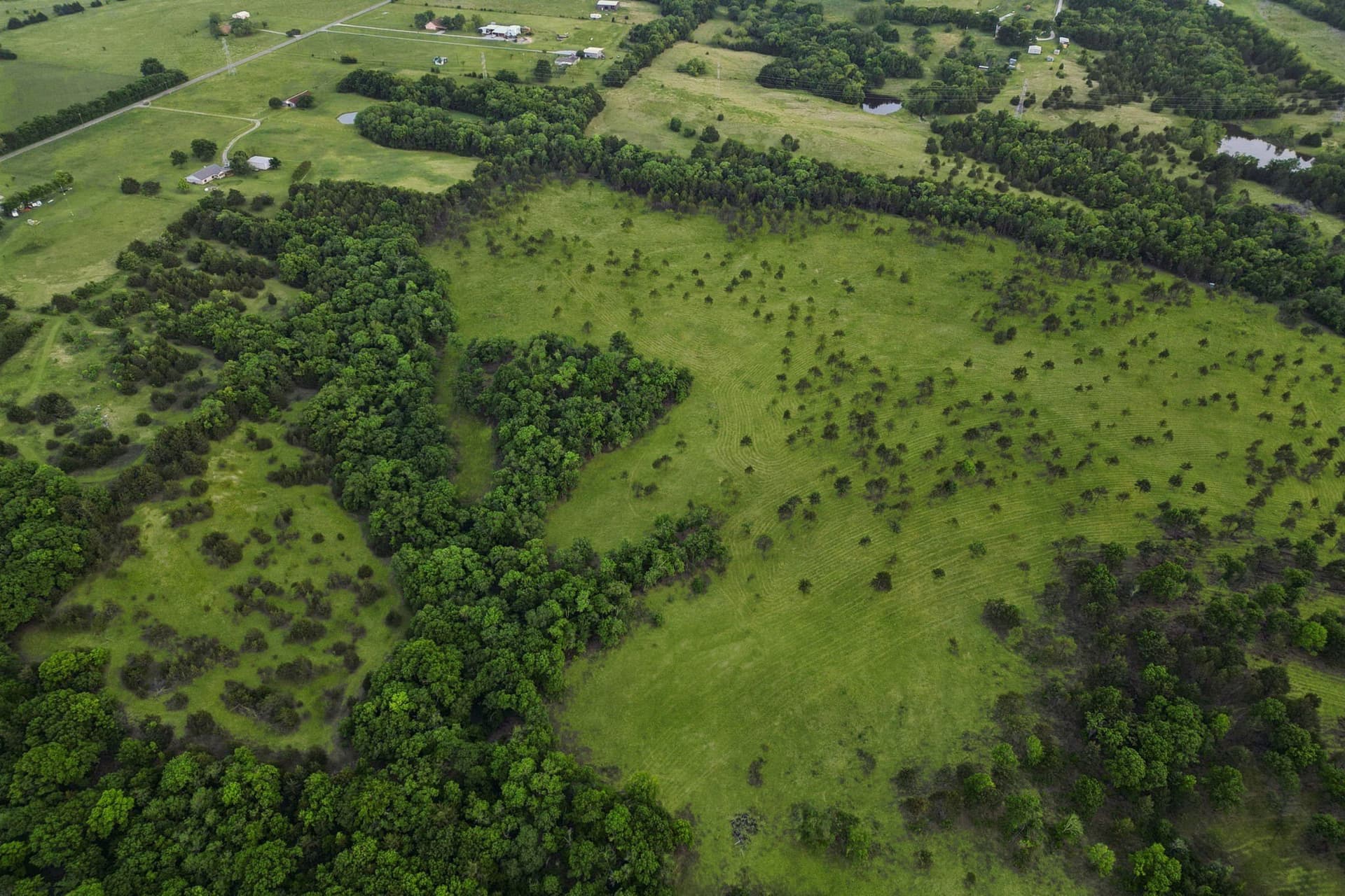 109.78 acres in Grayson County - photo 8