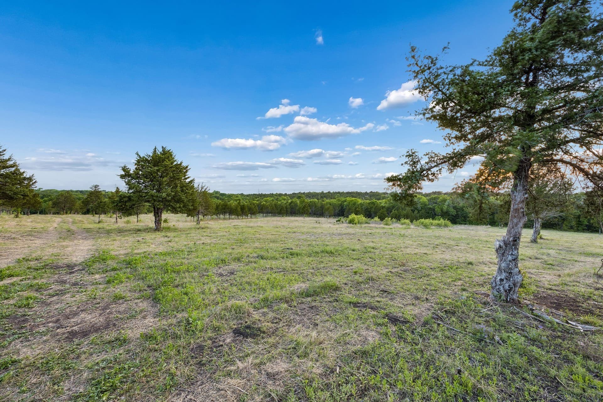 109.78 acres in Grayson County - photo 16