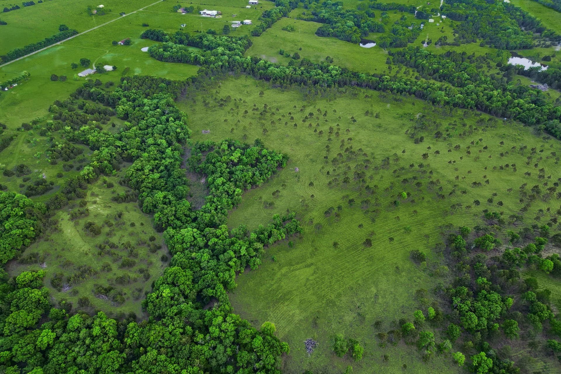 109.78 acres in Grayson County - photo 13