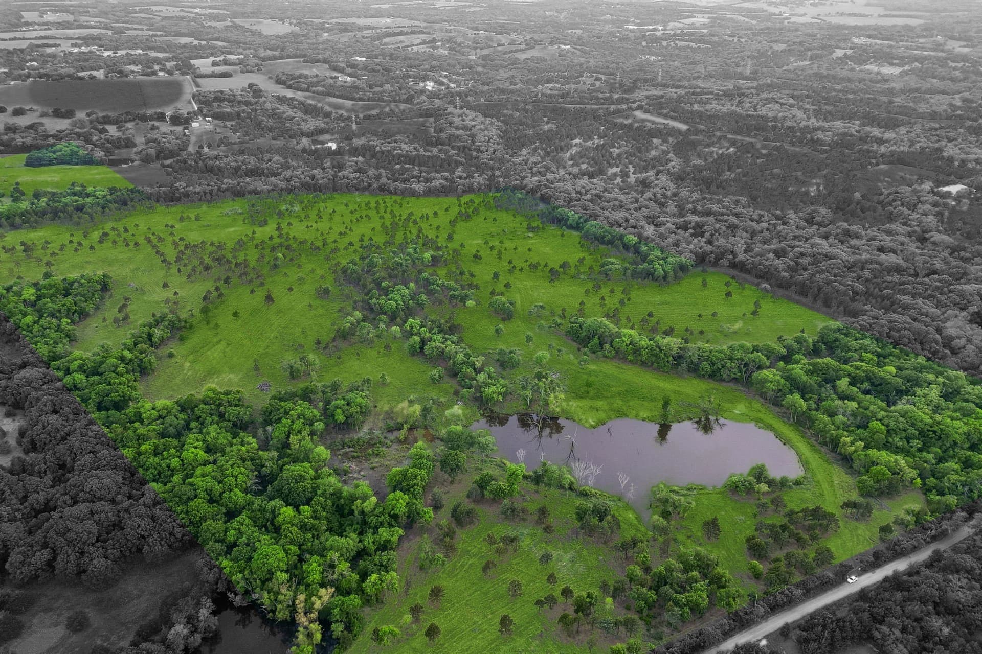 109.78 acres in Grayson County gallery image 2