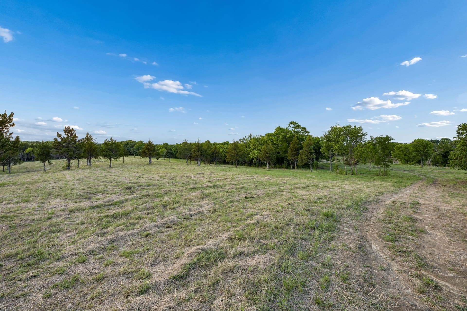 109.78 acres in Grayson County - photo 17