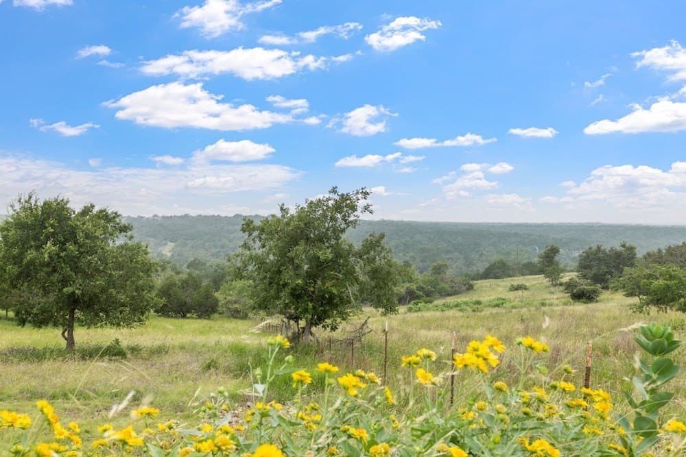 16.26 acres in Gillespie County - photo 31
