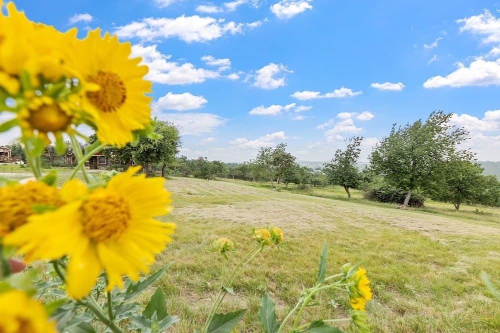 16.26 acres in Gillespie County - photo 42