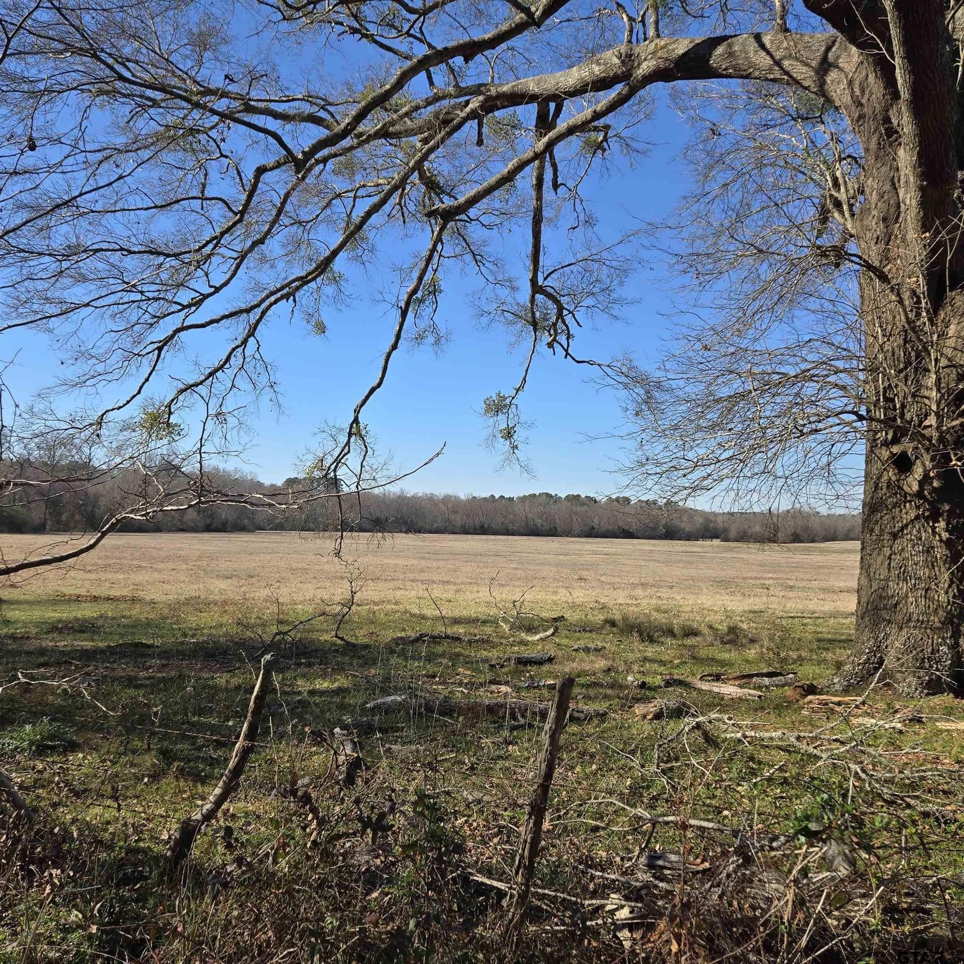 276.35 acres in Smith County gallery image 2