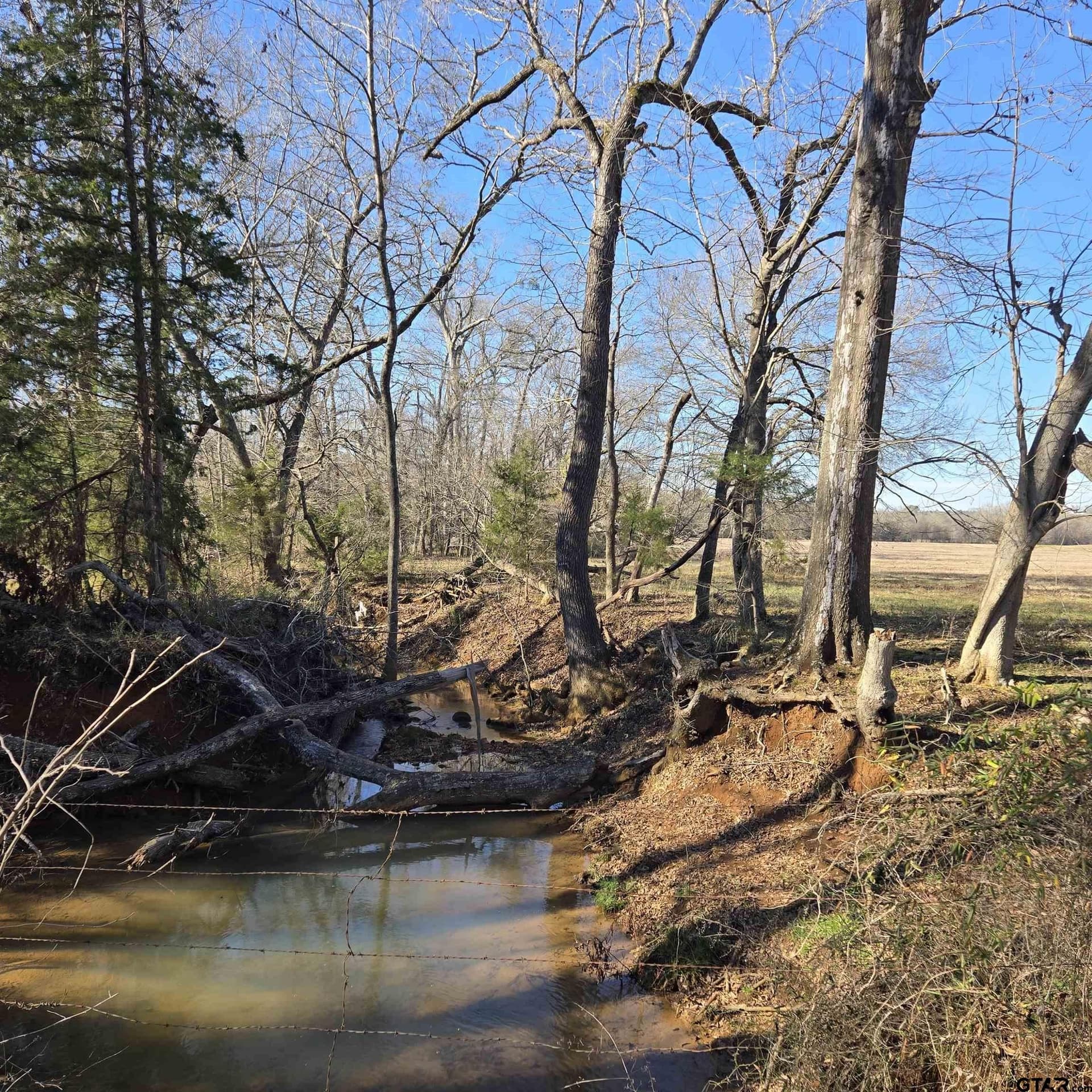 276.35 acres in Smith County gallery image 3