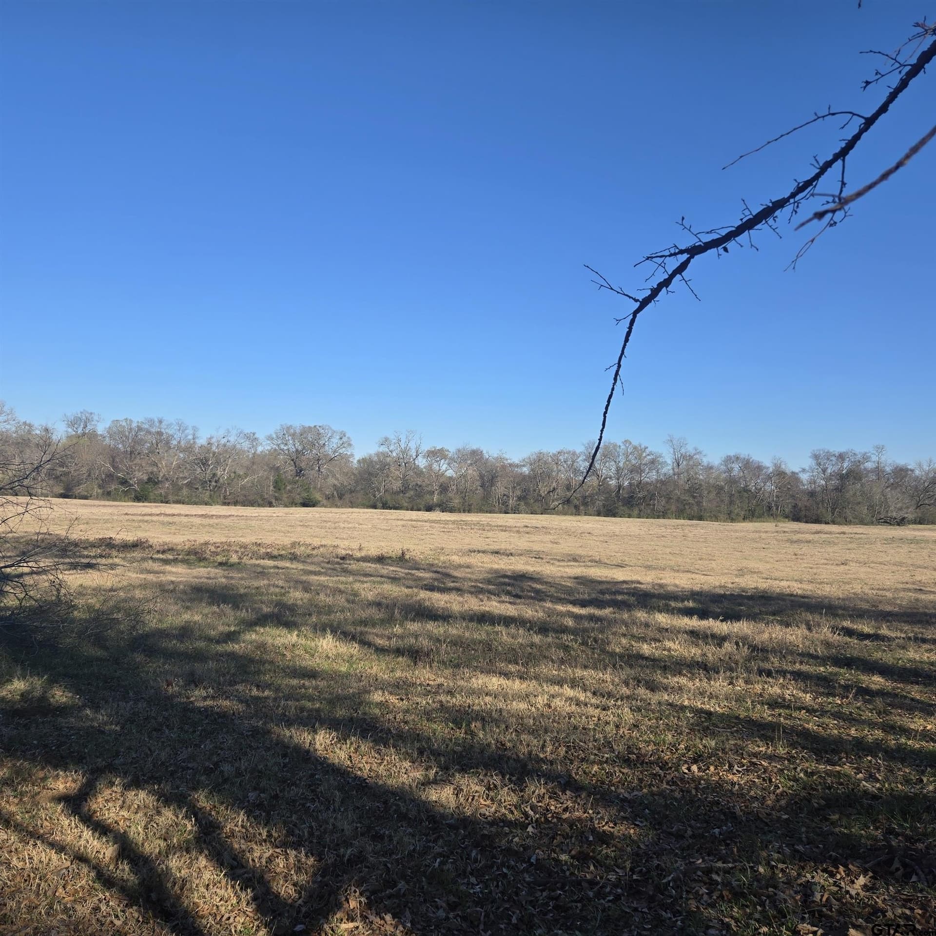 276.35 acres in Smith County featured view