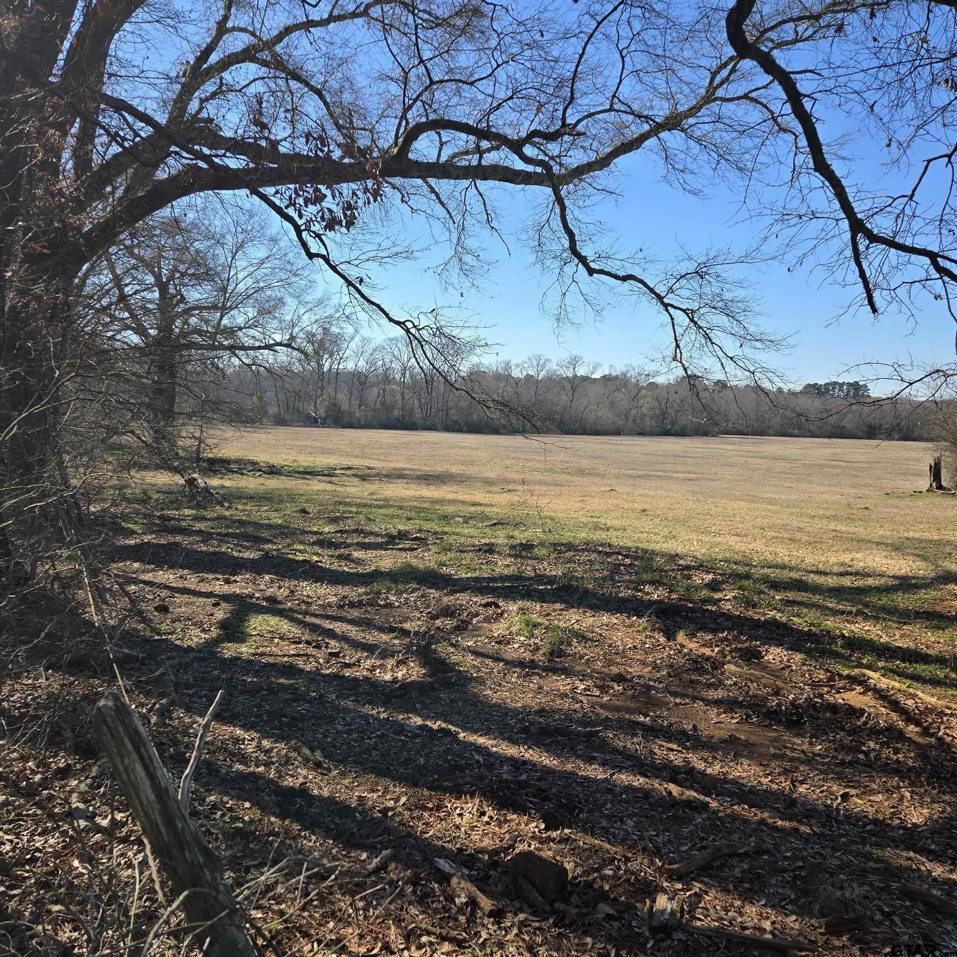 276.35 acres in Smith County