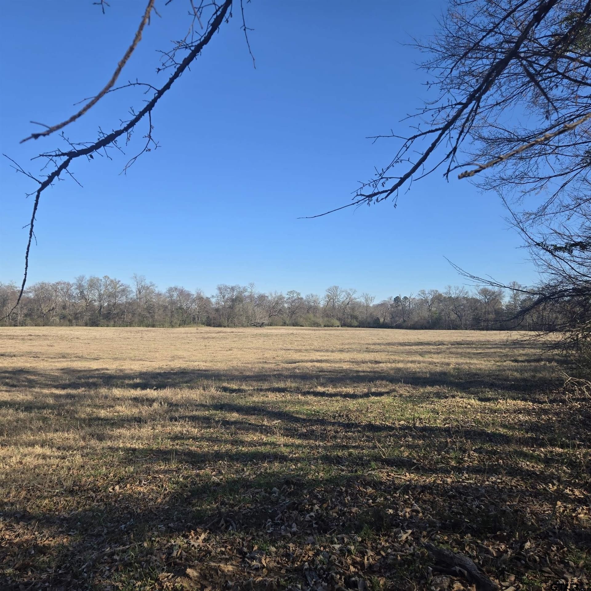 276.35 acres in Smith County gallery image 4