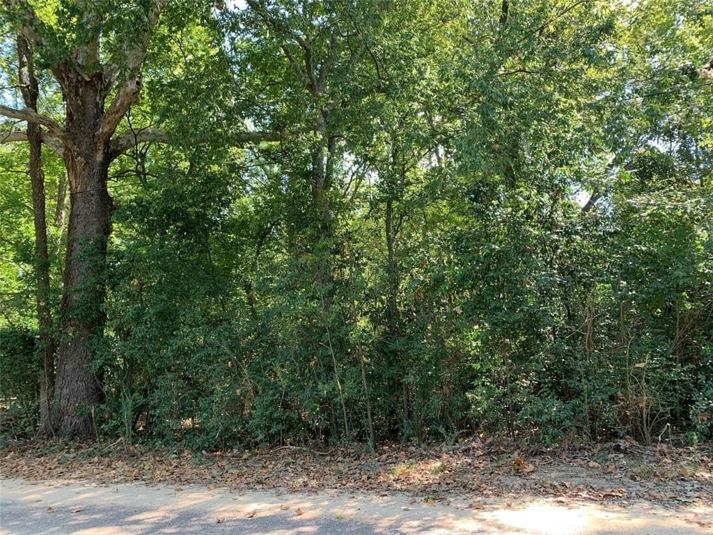 1.95 acres in Henderson County gallery image 3