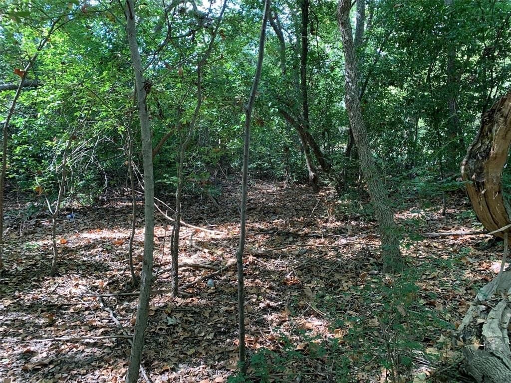 1.95 acres in Henderson County featured view