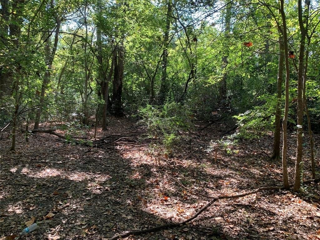 1.95 acres in Henderson County gallery image 4