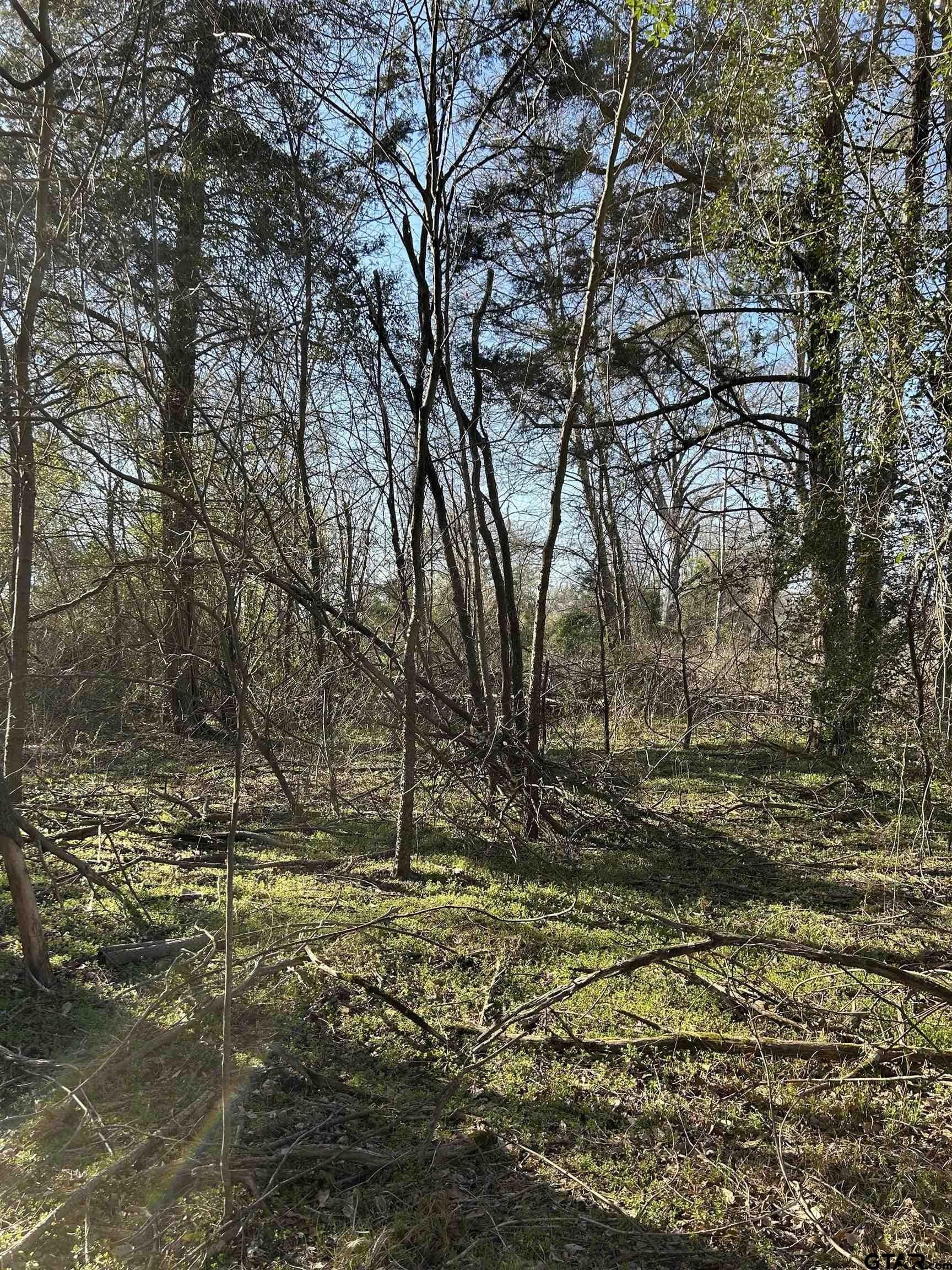 8.1 acres in Camp County - photo 7