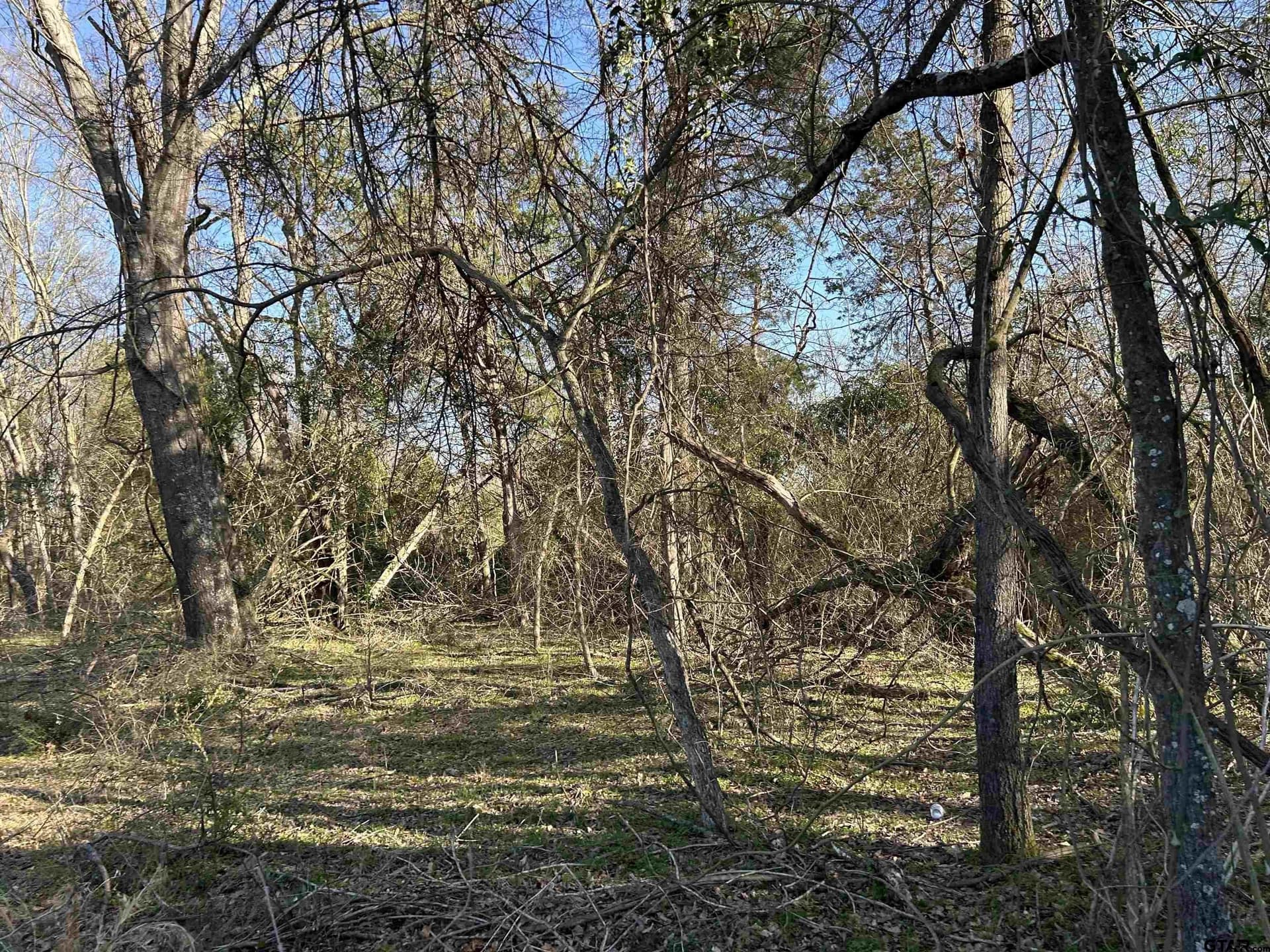 8.1 acres in Camp County - photo 10