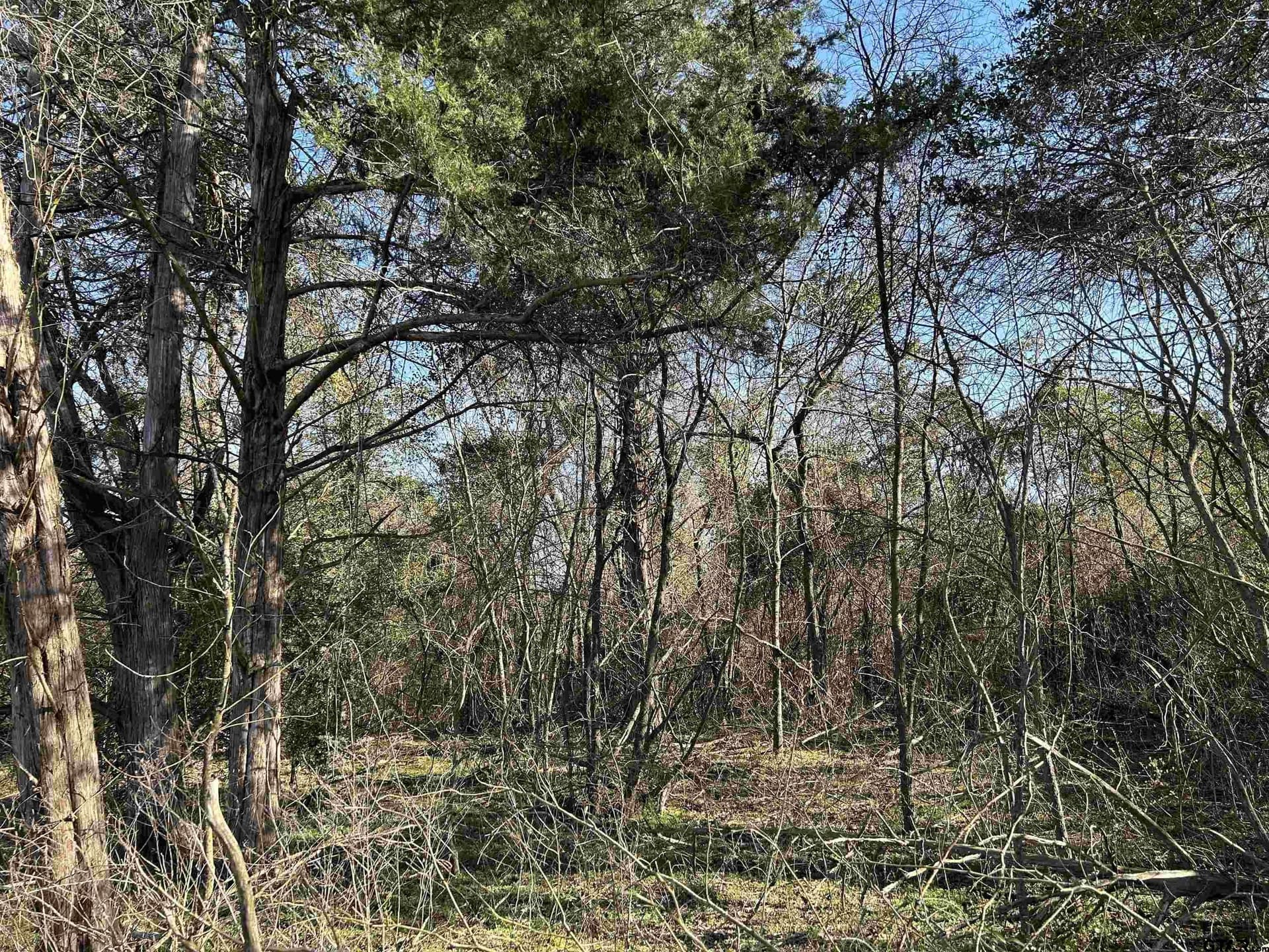 8.1 acres in Camp County - photo 12