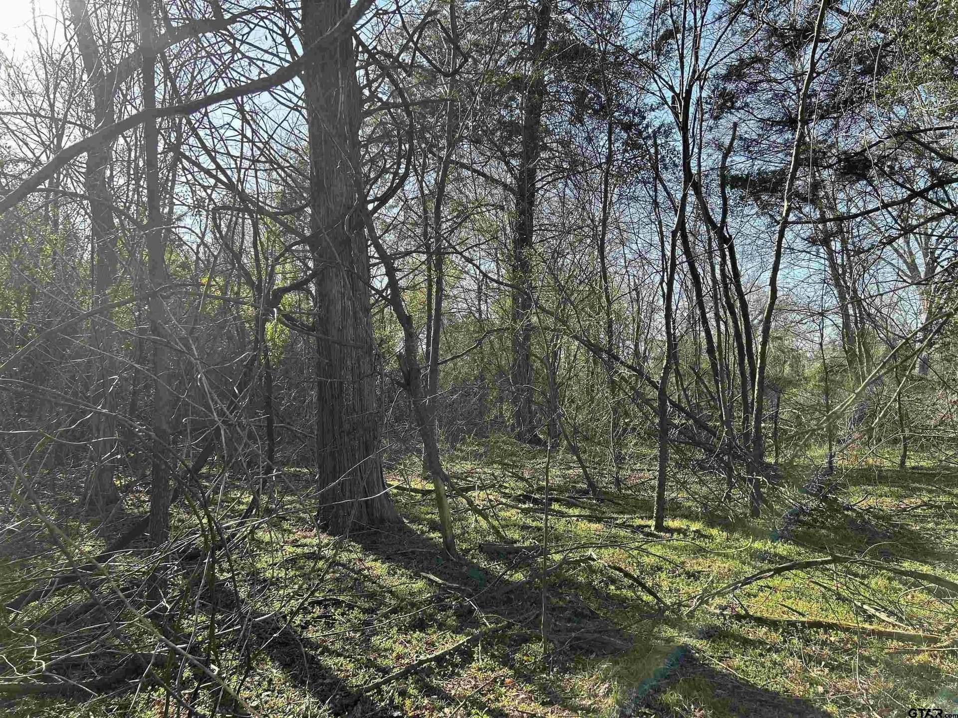 8.1 acres in Camp County - photo 8