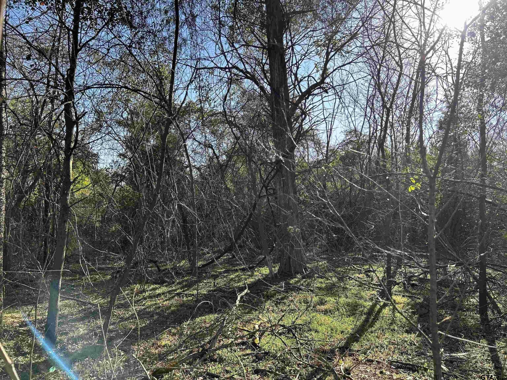 8.1 acres in Camp County - photo 9