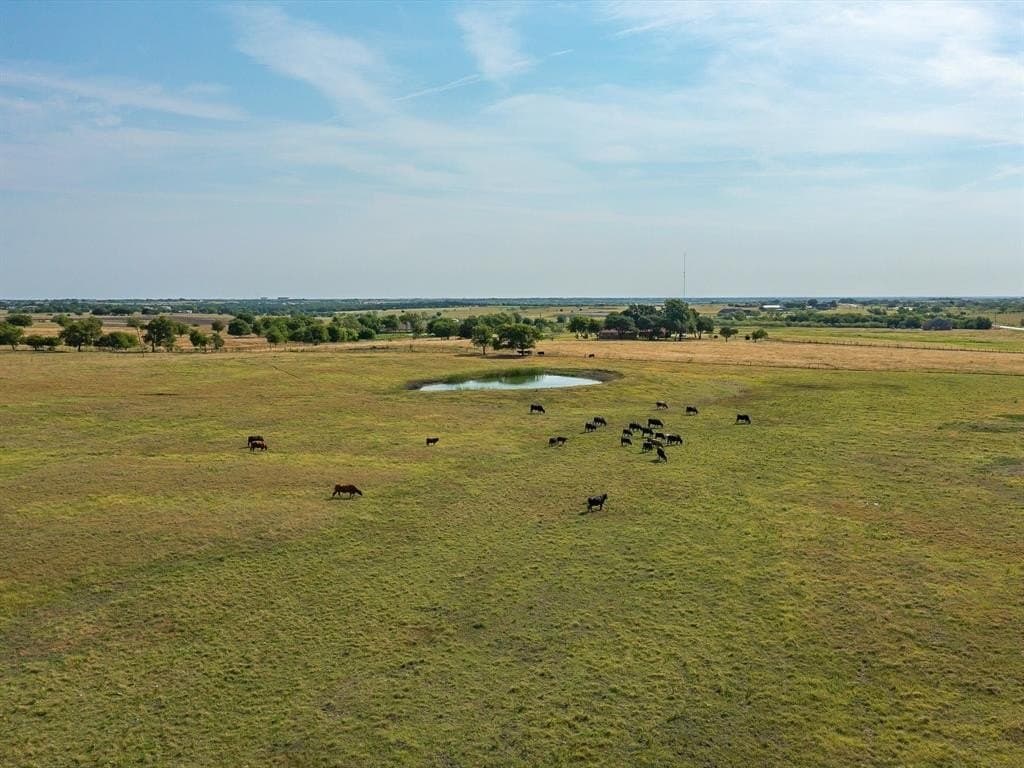2.64 acres in Ellis County gallery image 4