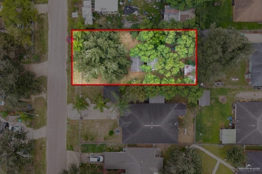 0.18 acres in Hidalgo County gallery image 2