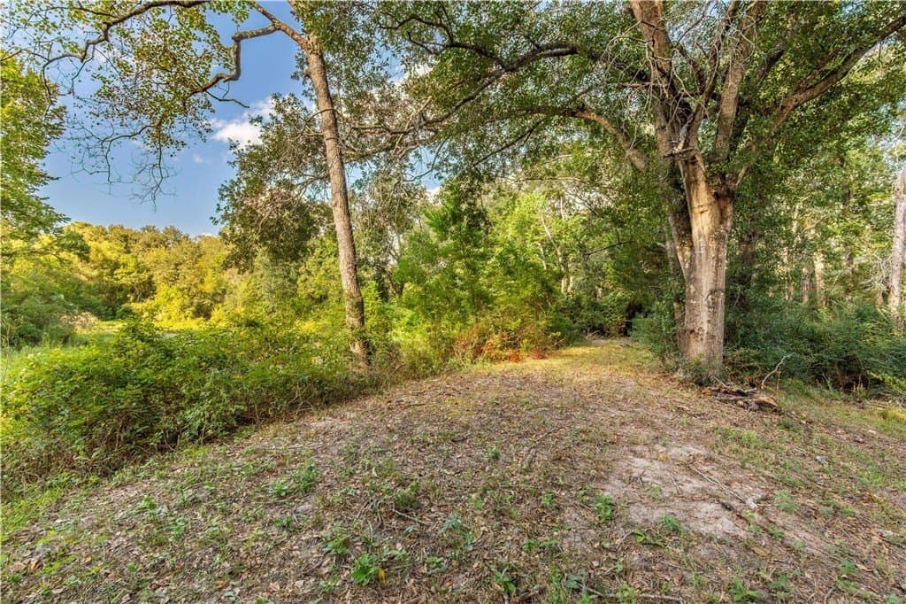 4.49 acres in AUSTIN County - photo 3