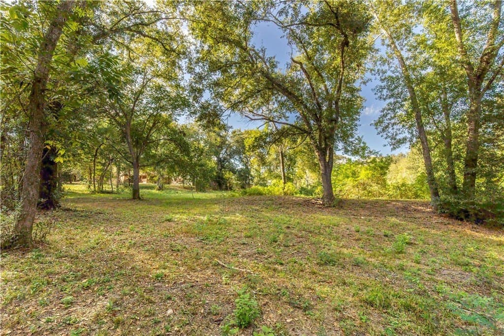 4.49 acres in AUSTIN County - photo 8