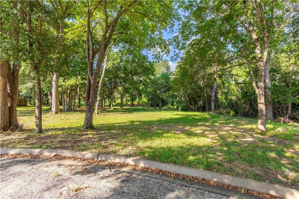 4.49 acres in AUSTIN County - photo 4