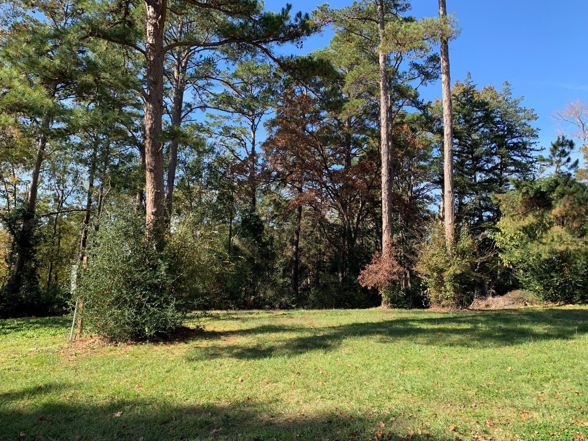 1.86 acres in Henderson County gallery image 2