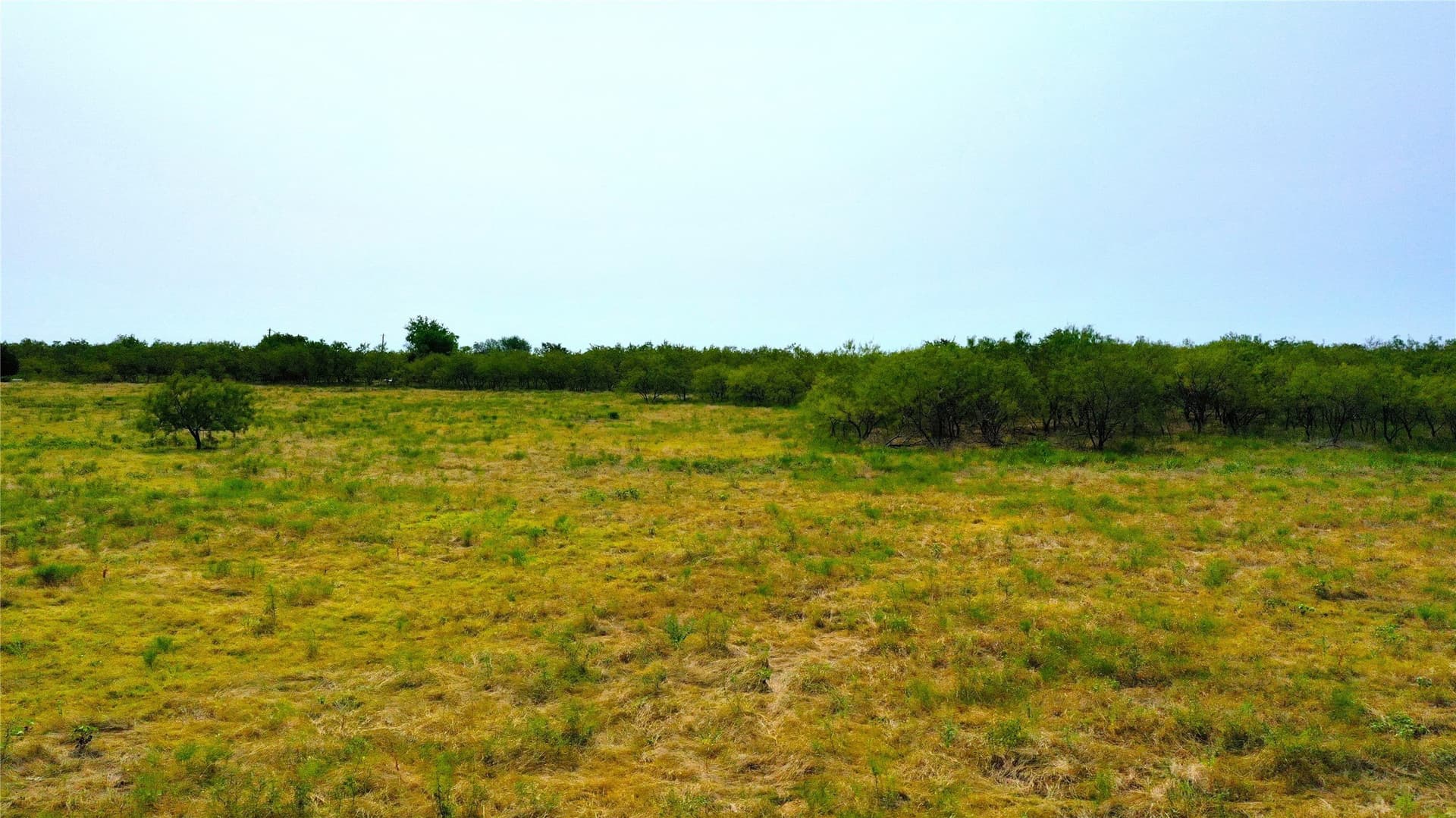24 acres in Kaufman County - photo 6