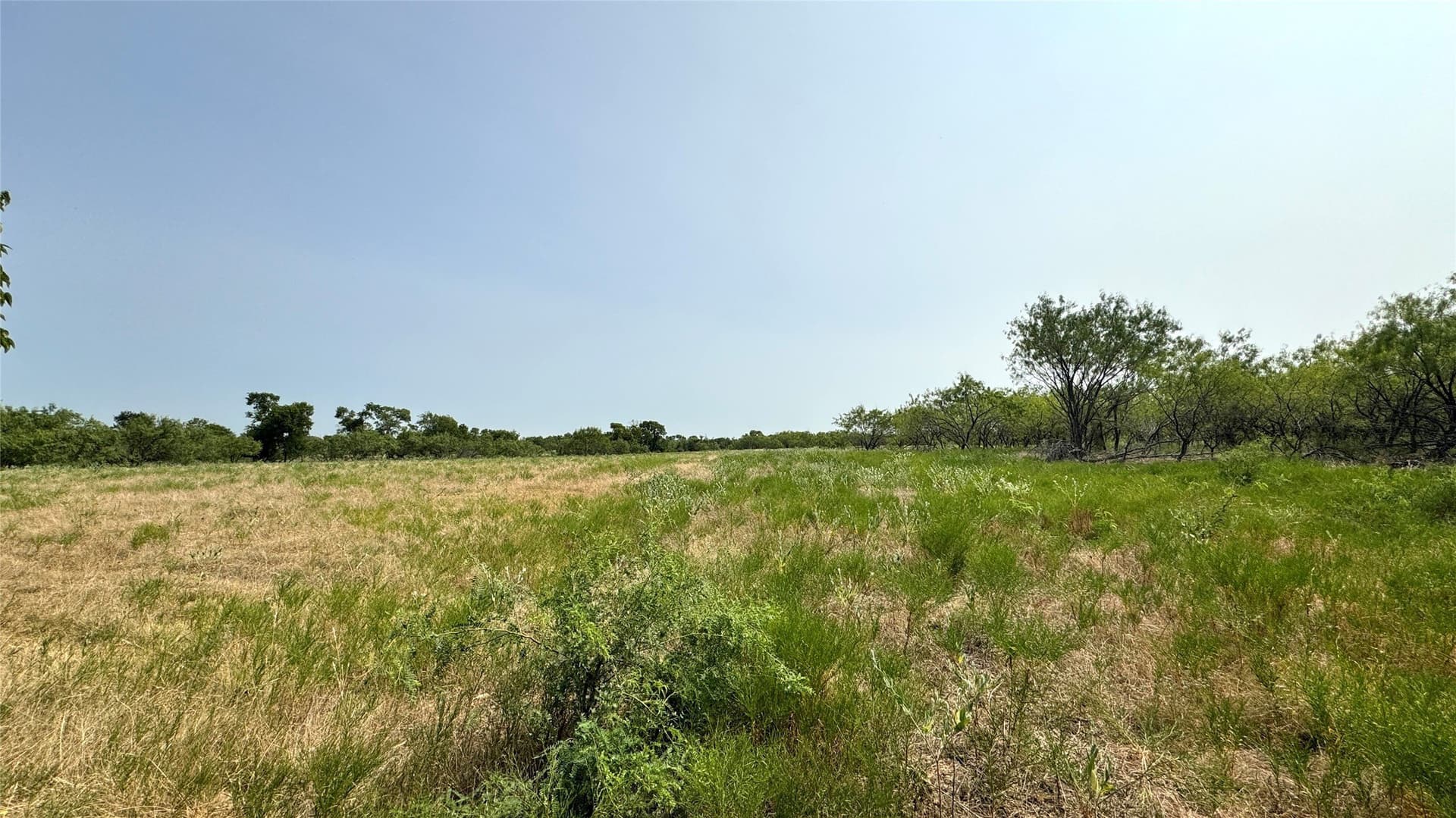 24 acres in Kaufman County - photo 3