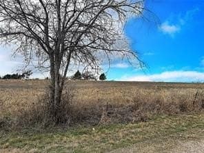 10.01 acres in Taylor County