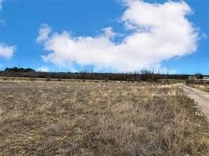 10.01 acres in Taylor County gallery image 2