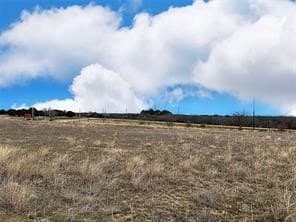 10.01 acres in Taylor County gallery image 3