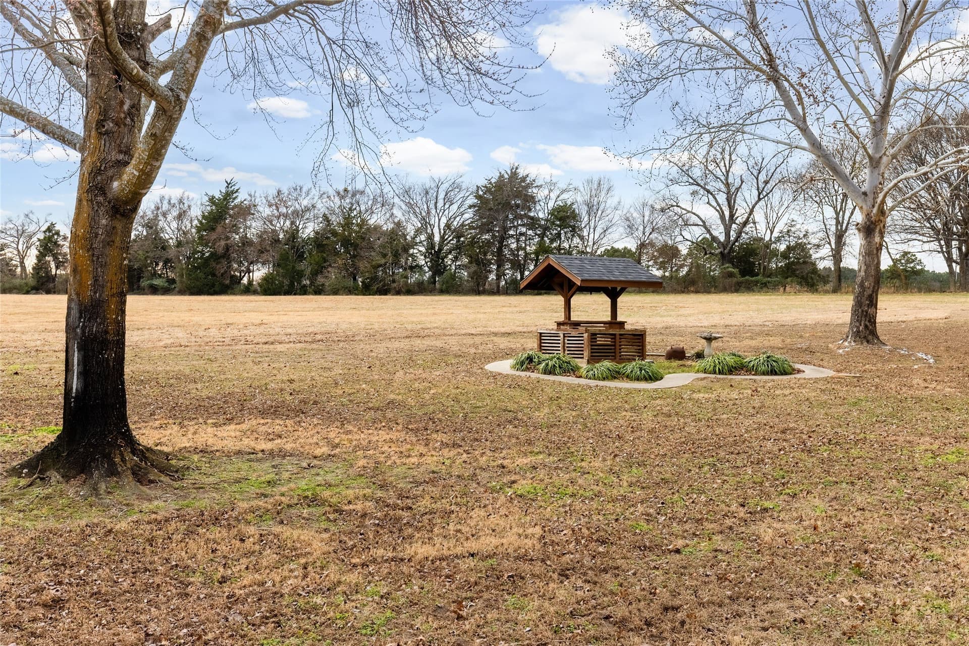 68.07 acres in Franklin (TX) County - photo 23