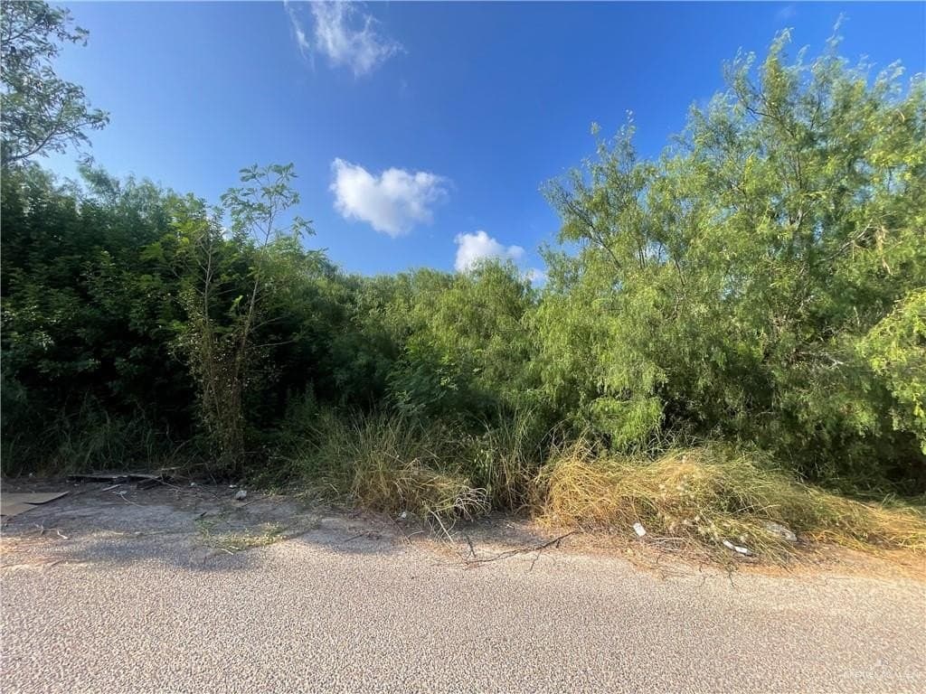 9.55 acres in Hidalgo County - photo 5