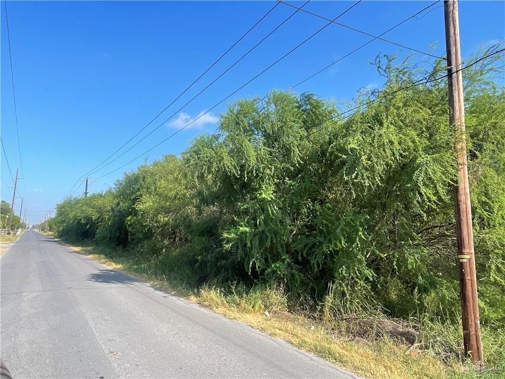 9.55 acres in Hidalgo County - photo 2