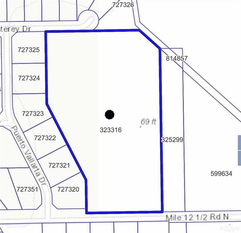 9.55 acres in Hidalgo County - photo 8