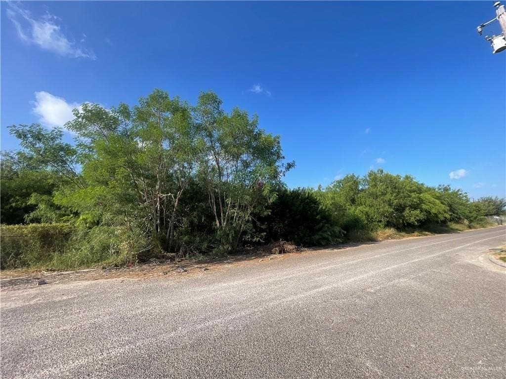 9.55 acres in Hidalgo County - photo 3
