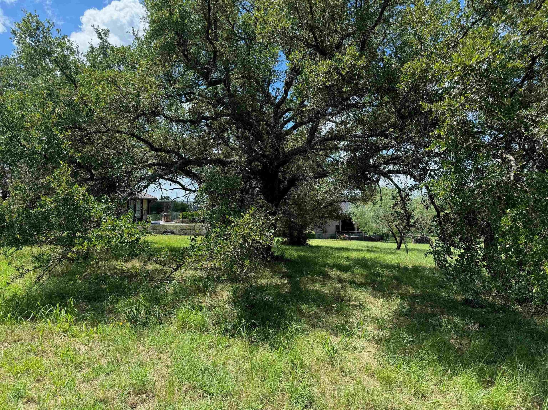 0.22 acres in Llano County gallery image 4