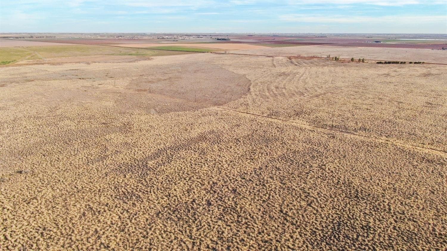 10.03 acres in Lubbock County - photo 8