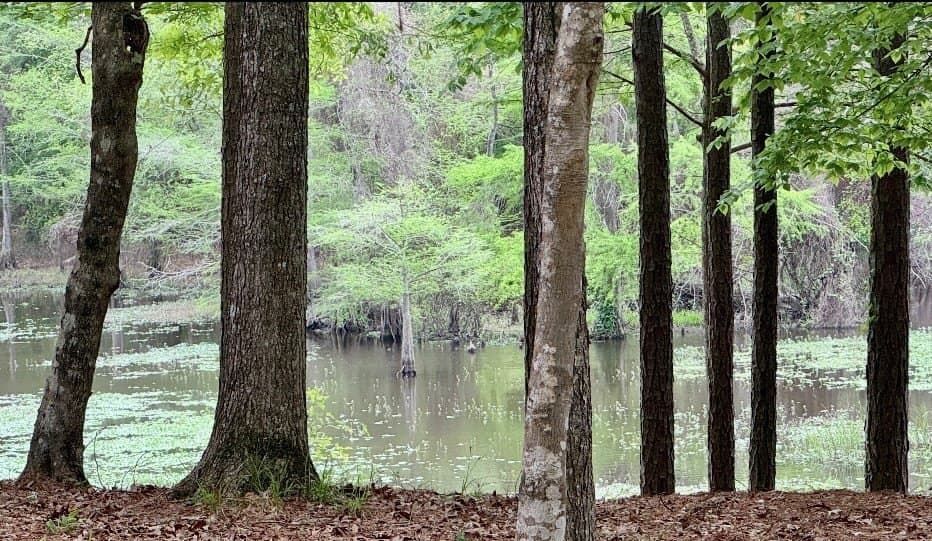 0.83 acres in Texas County gallery image 4