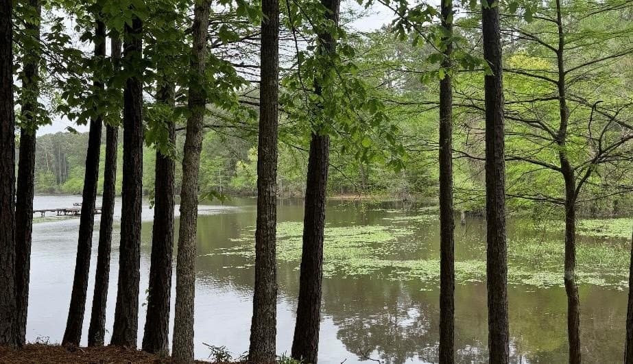 0.83 acres in Texas County
